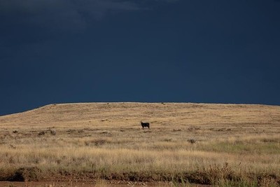 Photo:Black sky, portending rain, near Humboldt-Dewey, Arizona