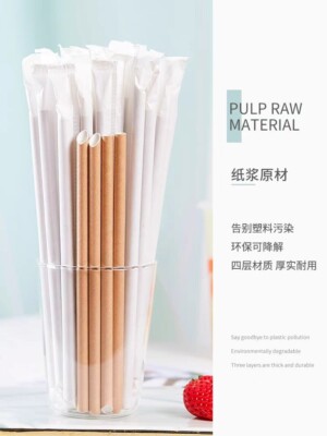 100 Bubble Tea Papierstrohhalme 4 Schichten 1,2 x 20 cm einzeln verpackt