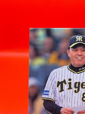 Hanshin Tigers 80 Akinobu Okada 2024 Baseball Card Japanese TCG