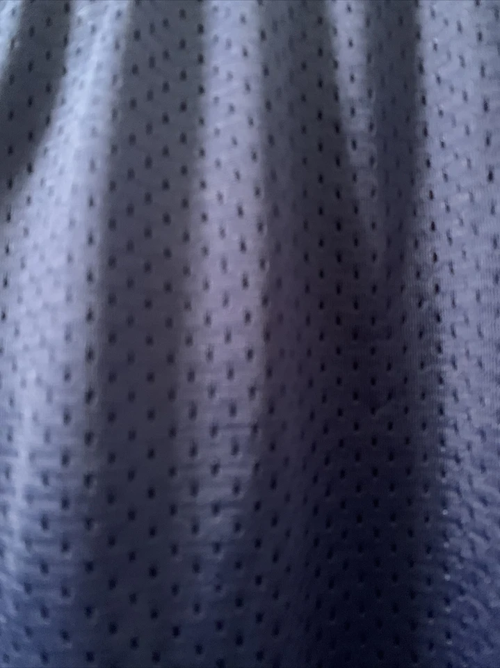 Champion Boys Mesh Shorts Lined Basketball Gym Sports Size 14/16 Blue - Image 4 of 4