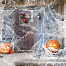Spider Web Halloween Decoration with 1 Plastic Spiders, 60 Sq. Ft.