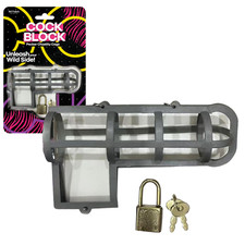 One Size Male Chastity Device with Lock and Key Bondage Gear Male Cock Restraint