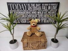 build a bear brown bear / sn3533