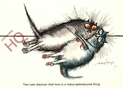 Postkarte, Ronald Searle, Zwei Katzen entdecken, dass Liebe viel-Pracht ist