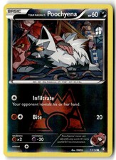 Team Magma's Poochyena 17/34 Reverse Holofoil - Double Crisis - PTCG - LP on eBay