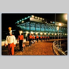 Postcard Greyhound Parks Dog Racing Phoenix Arizona Night Scene
