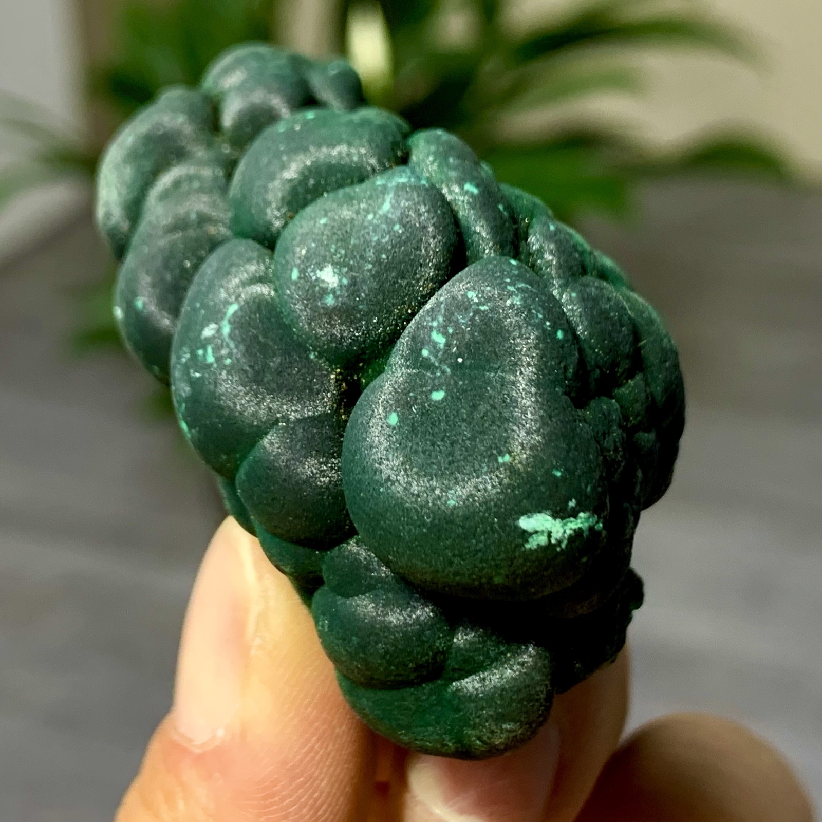 73G Natural velvet Malachite stone cat eye cluster rough mineral sample
