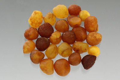 Lot of 25 Natural Rare Drops Genuine BALTIC AMBER Stones Nuggets 10.5g 180110-1