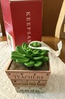 Hallmark Keepsake 2021 Thank You Teacher Green Succulent Plant Ornament — photo 1
