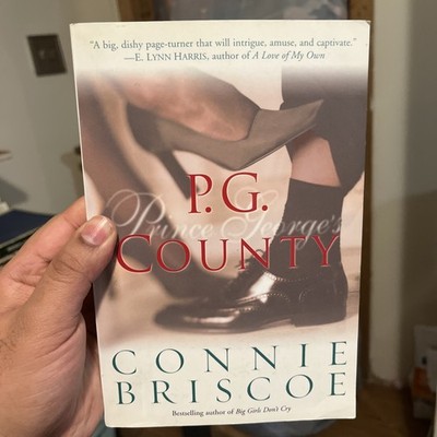 PG County by Connie Briscoe African American Fiction Novel