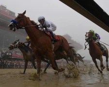 JUSTIFY 8X10 PHOTO HORSE RACING PICTURE JOCKEY PREAKNESS STAKES WINNER