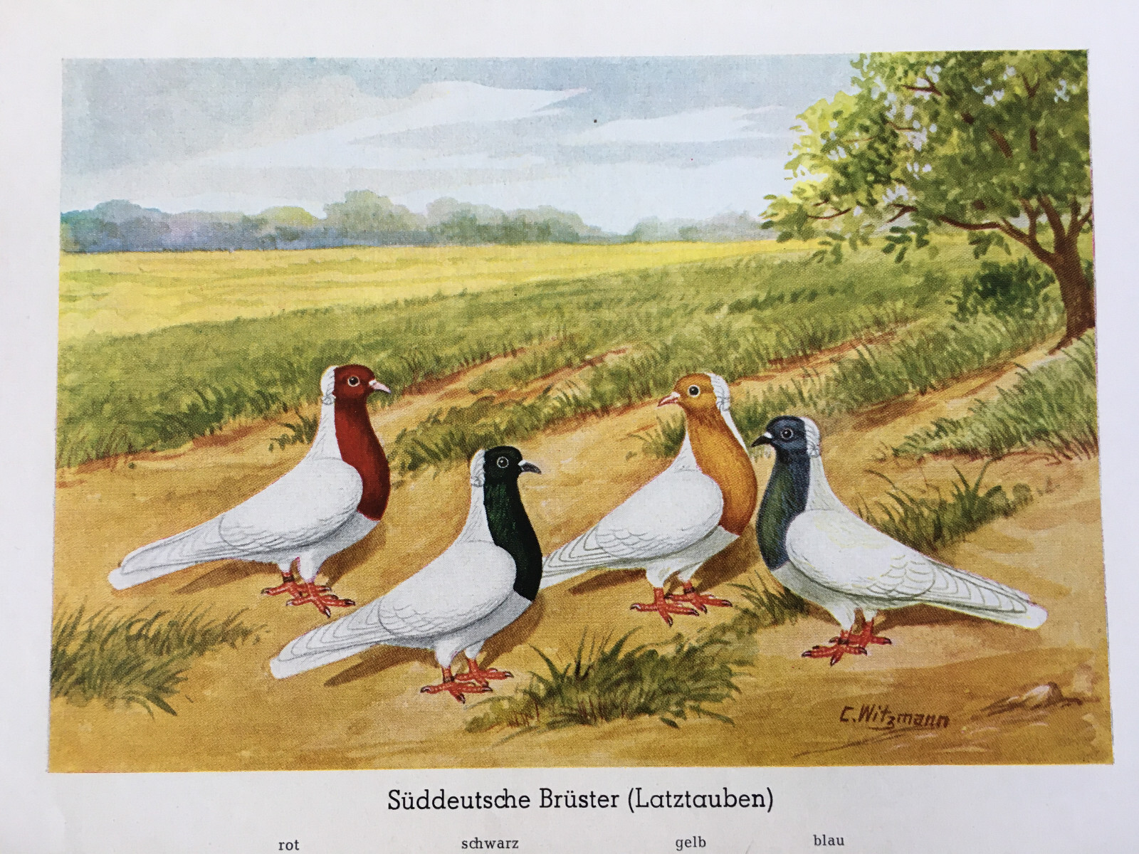 Bild 25 von 44