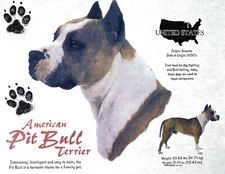 Pit Bull T Shirt History of the Pit Bull T-Shirts NEW