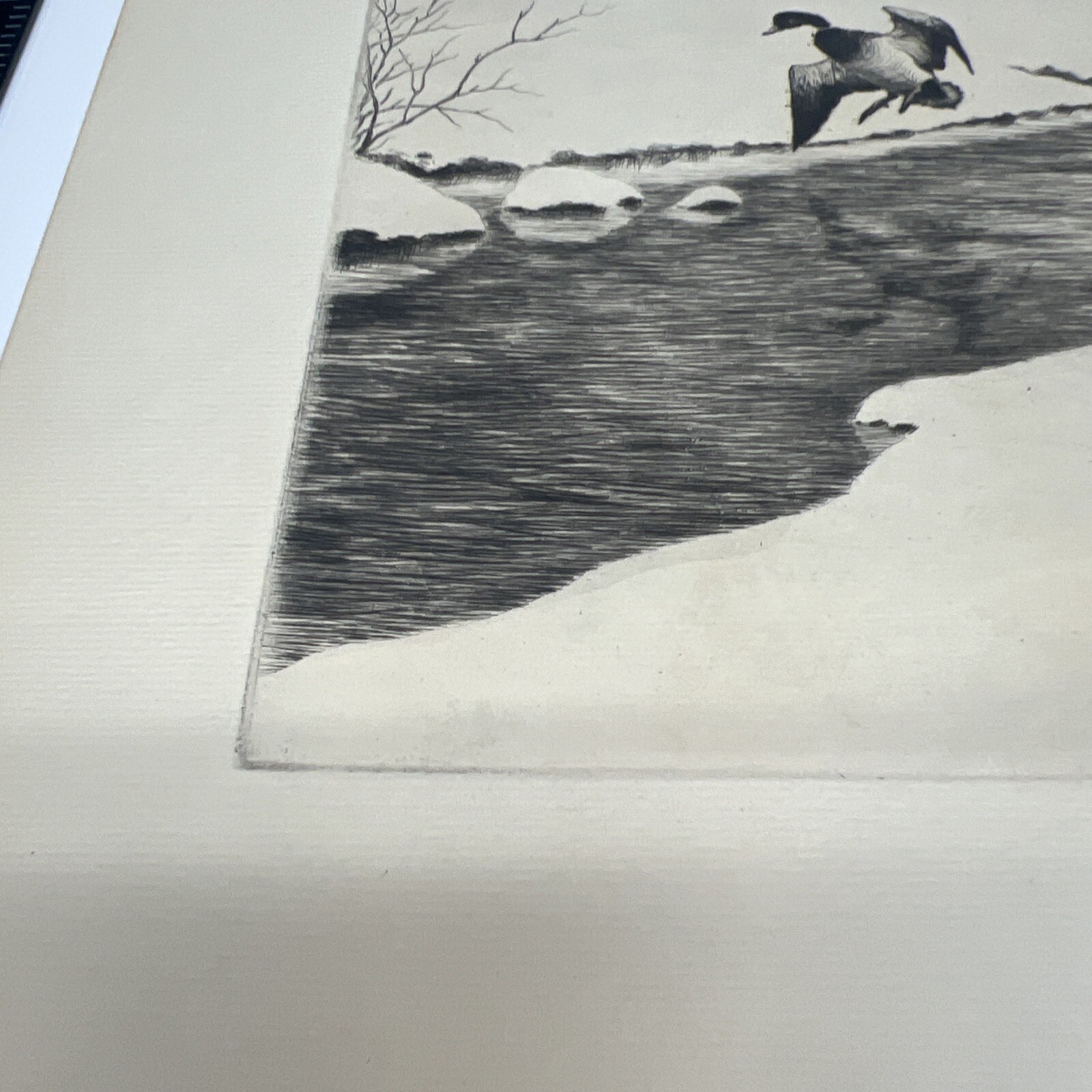 Picture 15 of 17