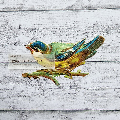 um 1900 Vogel Ornithologie Meise Glanzbild Prägedruck Luxuspapier Ephemera Deko