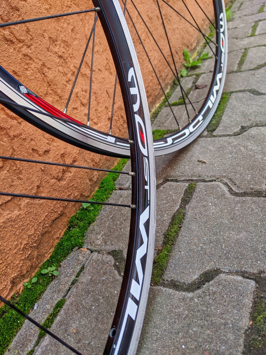 La plupart Wildcat F3 . Paire de roues à cliquet. 700C. Campagnolo