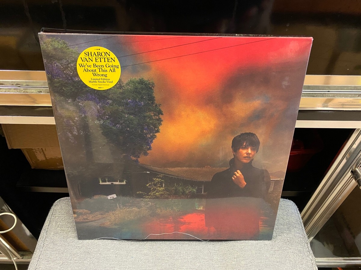 Sharon Van Etten We've Been Going About This All Wrong LP