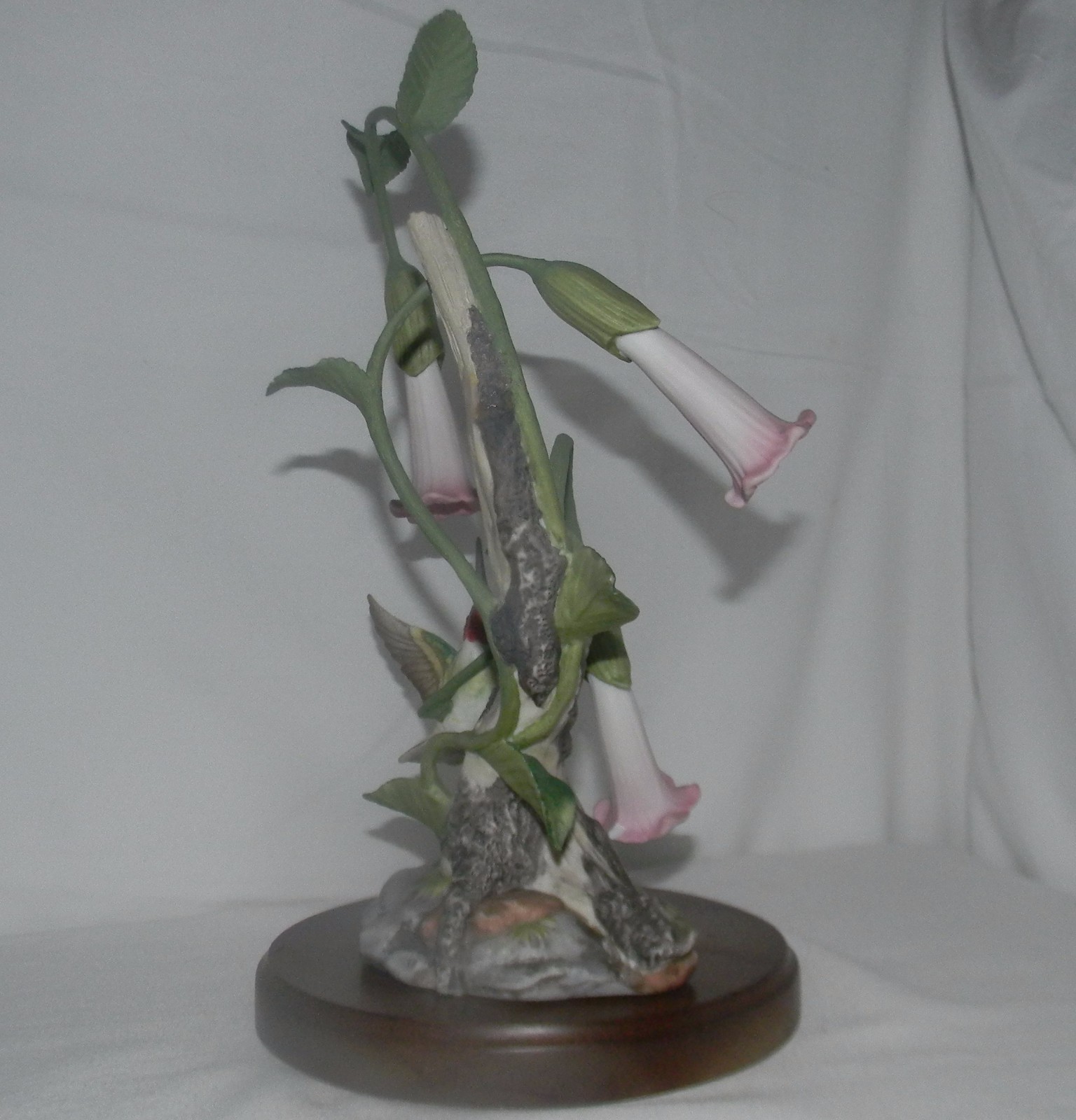 Picture 6 of 11