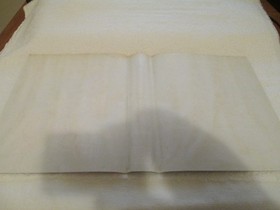 FATAL FURY SPECIAL NEO GEO AES ENGLISH USA EURO VERSION COMPLETE AUTHENTIC SNK