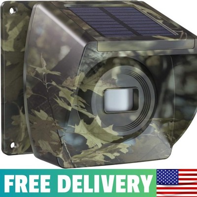 Expandable For Solar Driveway Alarm System