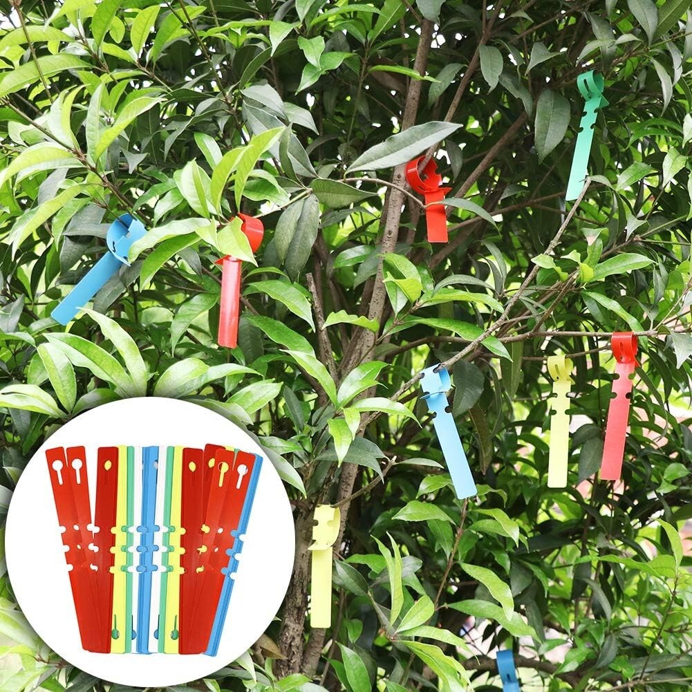 Professional Grafting Tools Set: Knife, Blades & Accessories for Healthy Plants