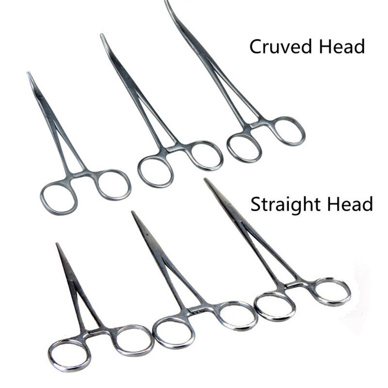 Pets Ranking TOP18 Medical Forceps Stainless Steel Hemostati Ranking TOP6 & Straight Curved