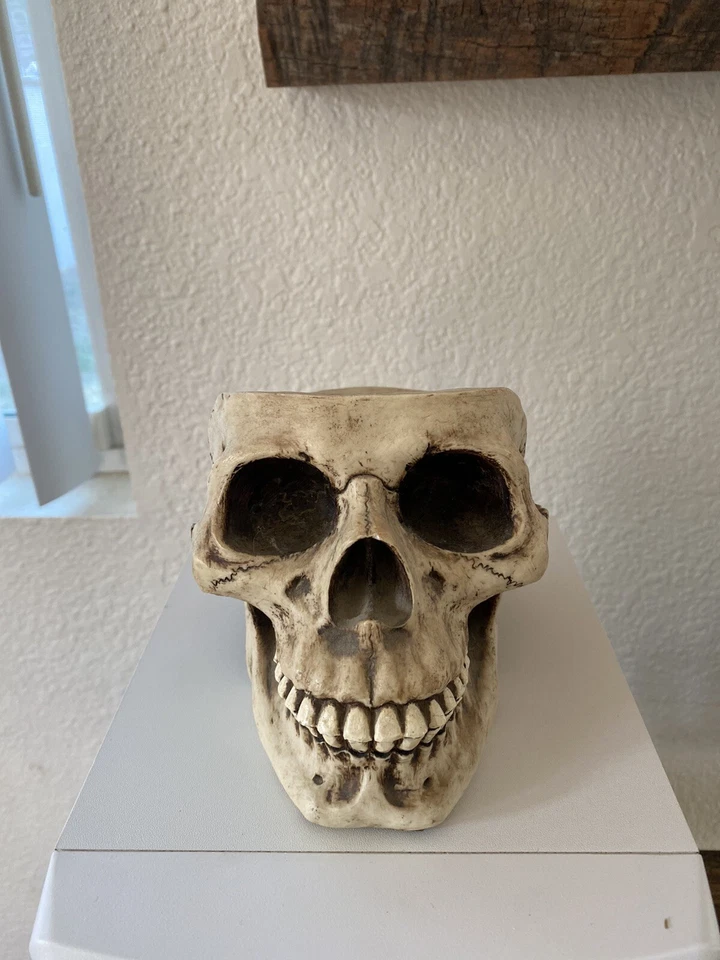 RARO! Juego de montaña rusa con soporte / DISEÑO CALAVERA / Juego de 6 Foto 4 de 4