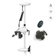 Almost New Haswing Transom Mount Trolling Motor