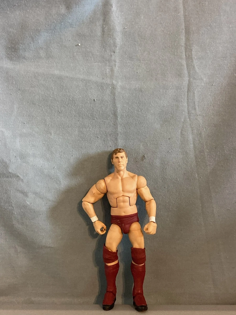 Wwe Daniel Bryan for sale | eBay