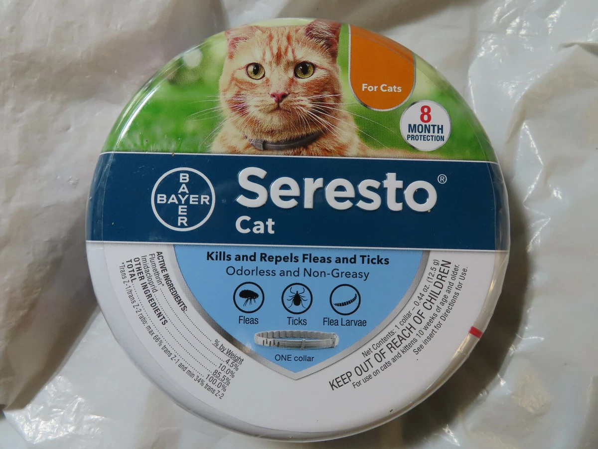 AUTHENTIC BAYER SERESTO CAT KITTENS FLEA u0026 TICK COLLAR 8 MONTH PROTECTION |  eBay