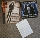 Bonnie Raitt Promotional Poster Flats 12 X 12   Rare — photo 2