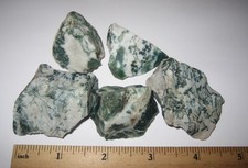 5 BEAUTIFUL SMALL NATURAL ROUGH 1.2"- 1.7" TREE AGATE STONE MINERALS 165grams 8