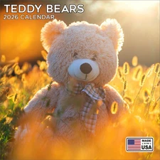 Teddy Bears Calendar 2026  - Hobby Wall Calendar - Made in the USA!
