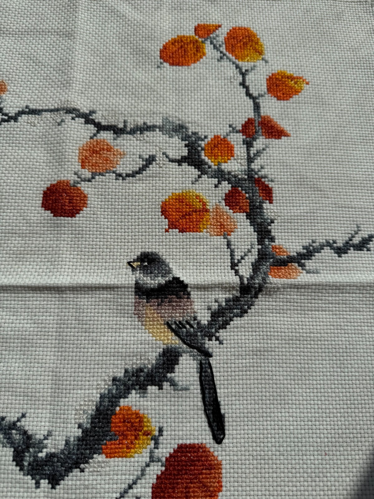 Picture 9 of 12