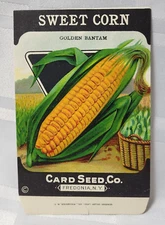 EARLY SWEET CORN GOLDEN BANTAM PACKET CARD SEED COMPANY FREDONIA NEW YORK RETRO