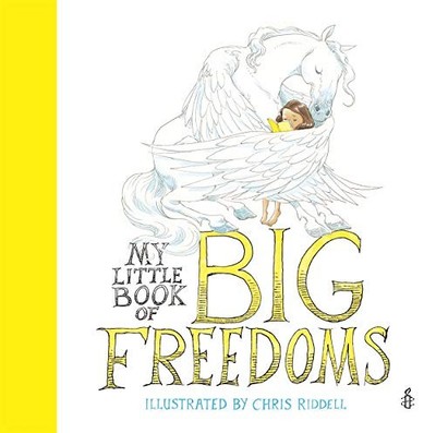 My Little Book of Big Freedoms: The Human Ri by Amnesty International 1780555067