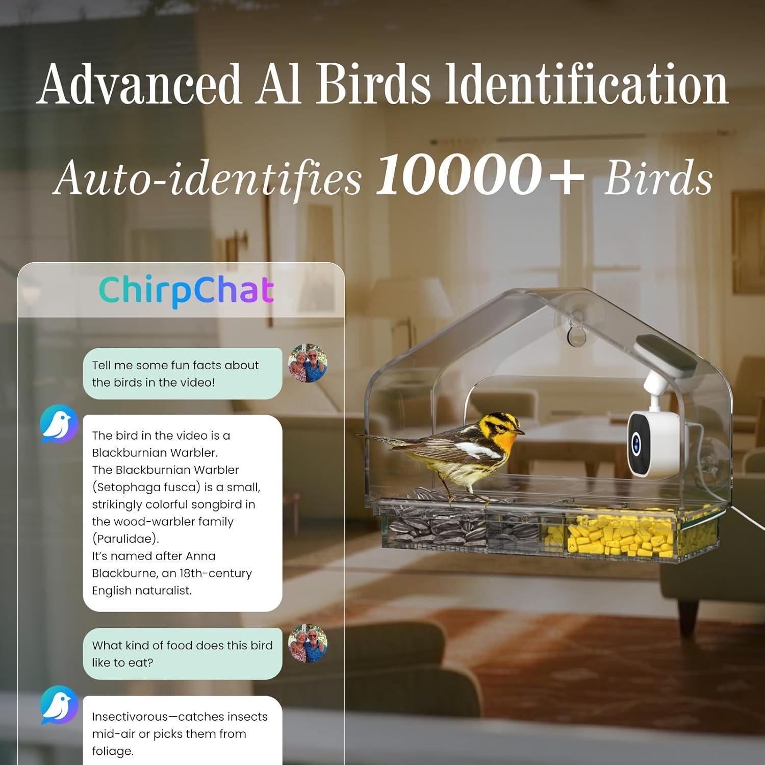 Smart Window Bird Feeder Camera with AI, Modern Design for Panoramic Views, 2K H