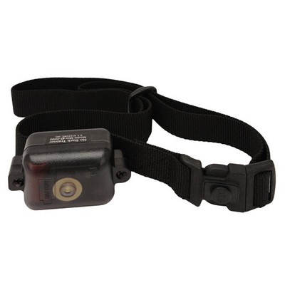 atwoods shock collar