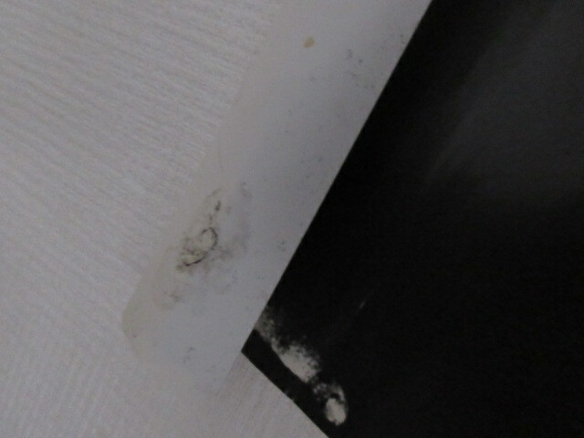 Picture 8 of 9