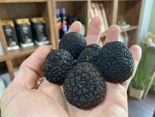 Precious ITALIAN fresh black truffles. Black truffle 1 kg. 35,3 oz. FIRST CLASS