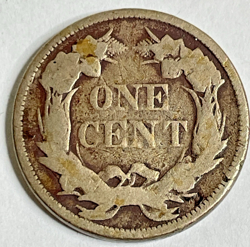 1857 Flying Eagle Penny United States One Cent Philadelphia Mint