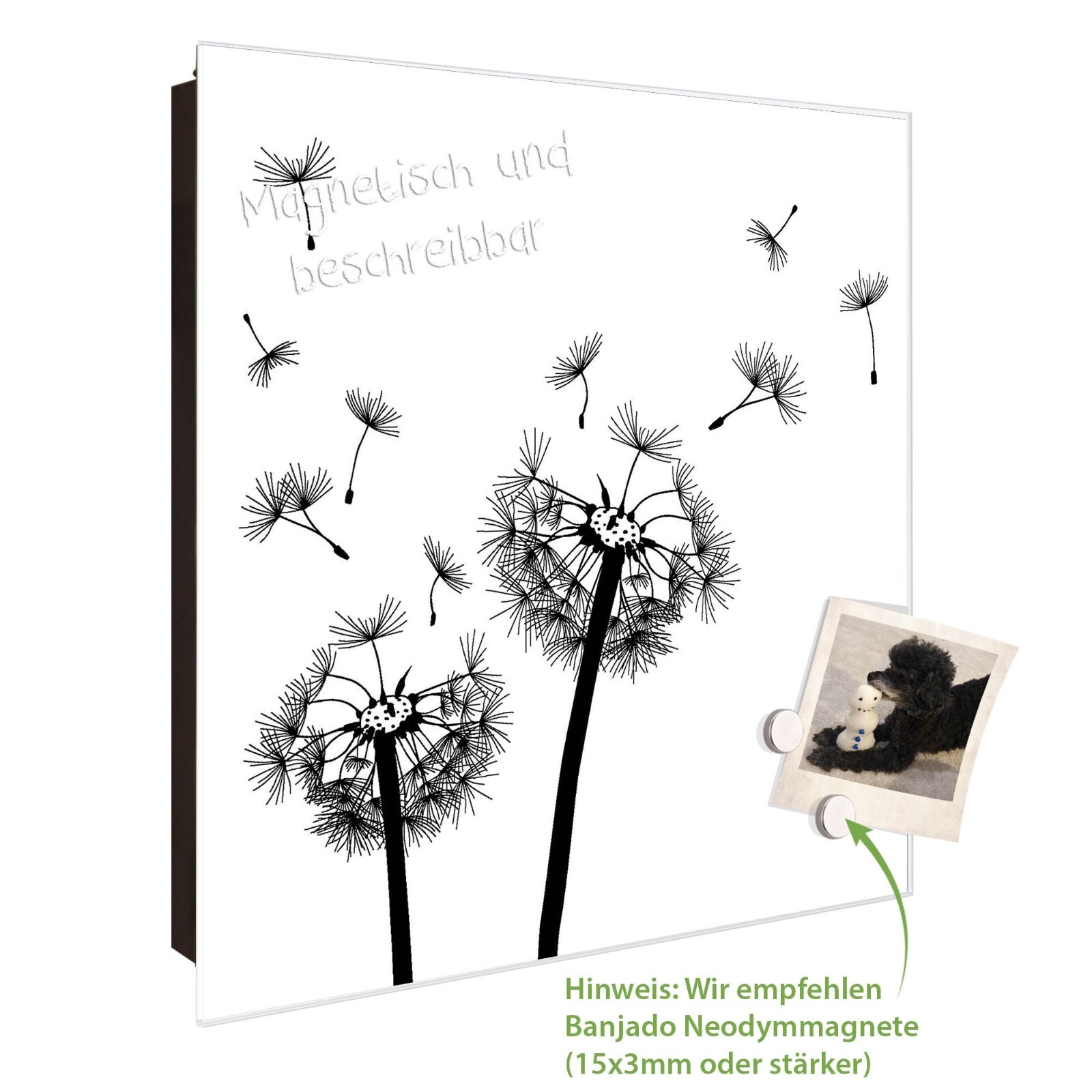 Bild 7 von 22