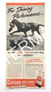 1951 Gaines Dog Foods For Shining Performance...Nourish Every Inch Print Ad 094A