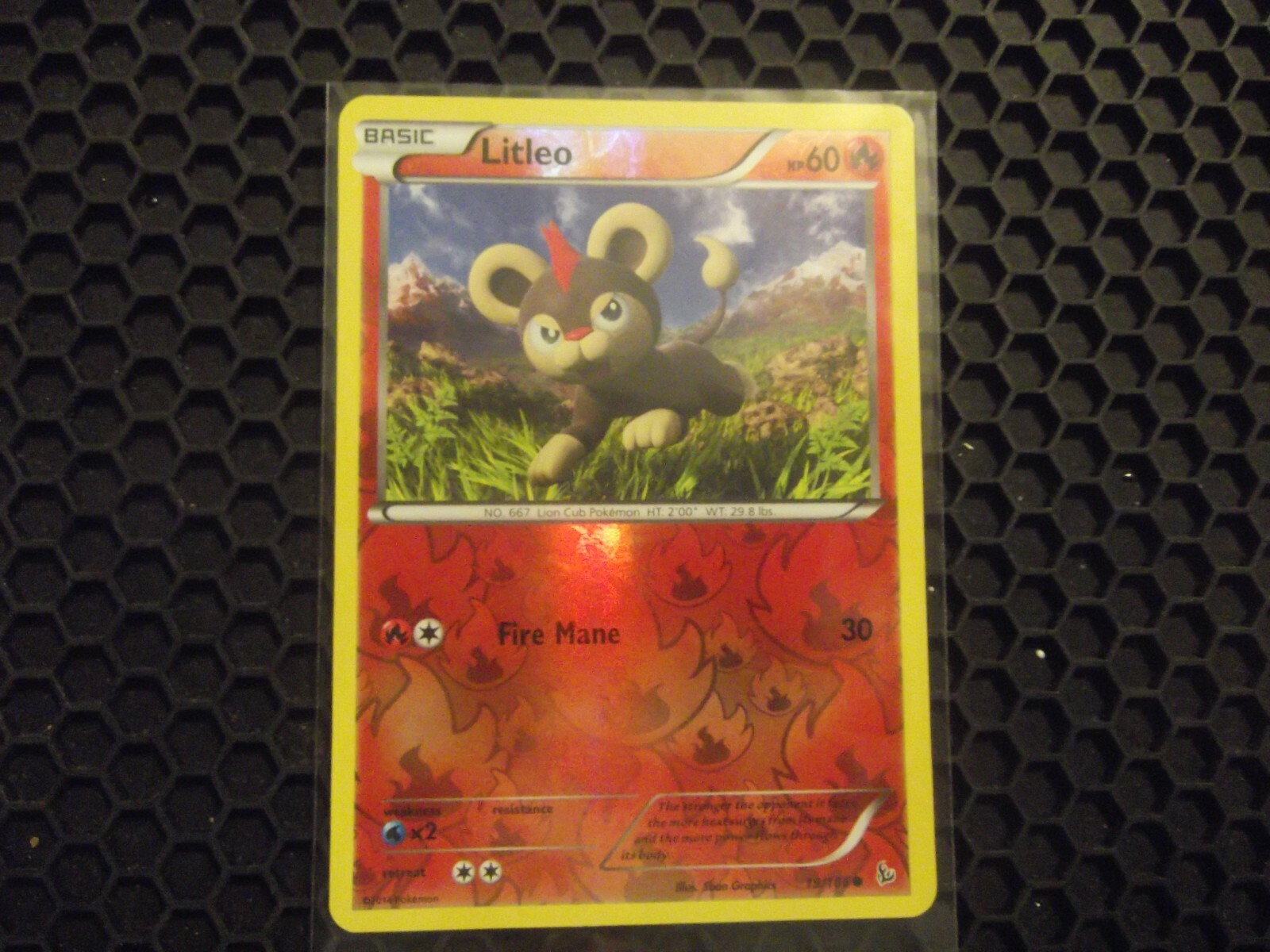 Litleo 19/106 Ultra Rare Pokemon XY Flashfire Reverse Holo Card 2014 NM/LP