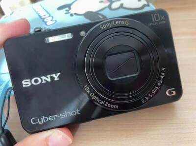 Sony Cyber-Shot DSC-WX220 18.2 MP Digital Camera 10X Optical