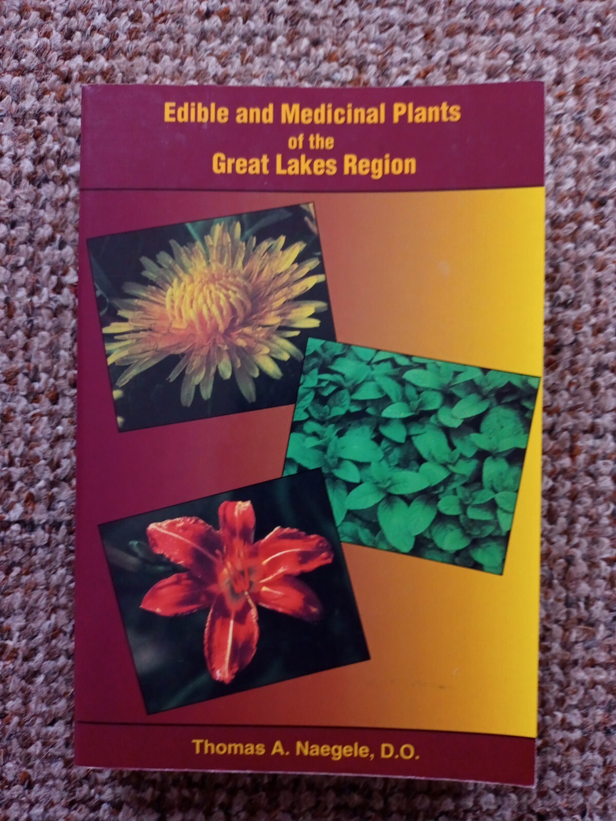 Edible & Medicinal Plants of the Great Lakes Region - Thomas A. Naegele