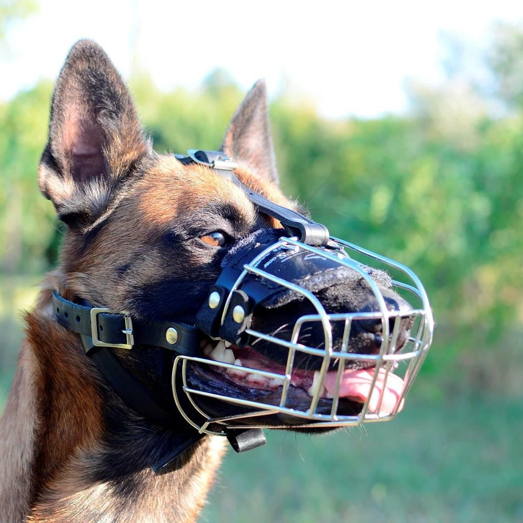 Best crate for belgian cheap malinois