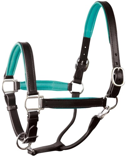 Collare In Pelle Imbottito Shires Velociti Lusso, Colore Borgogna - Per Cani