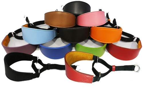 ebay martingale dog collars