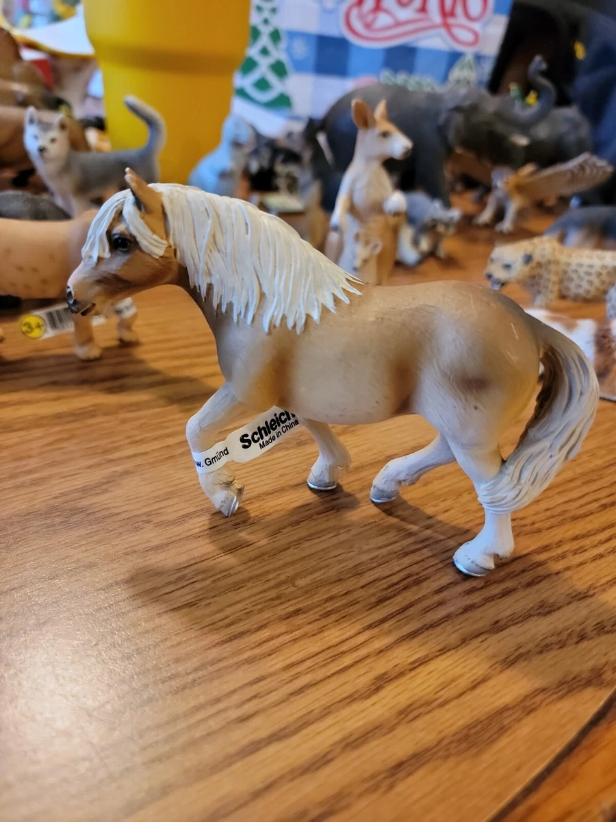 Schleich dartmoor pony best sale stallion